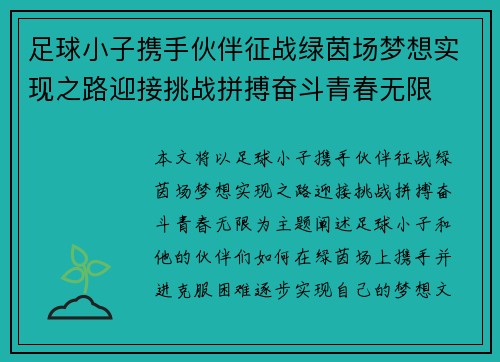足球小子携手伙伴征战绿茵场梦想实现之路迎接挑战拼搏奋斗青春无限